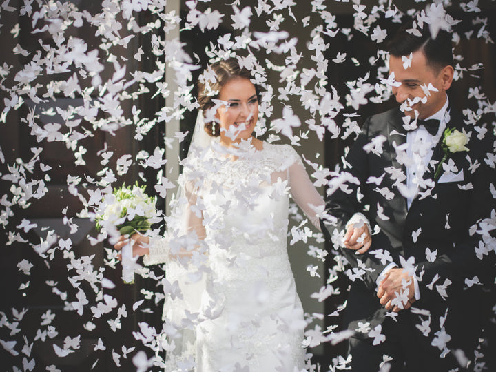 Canhão de Confetis com Borboletas Brancas — Magia no Ar, Beleza em Cada Fotografi